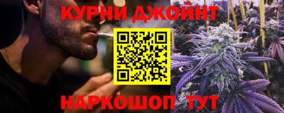 крисы Малгобек
